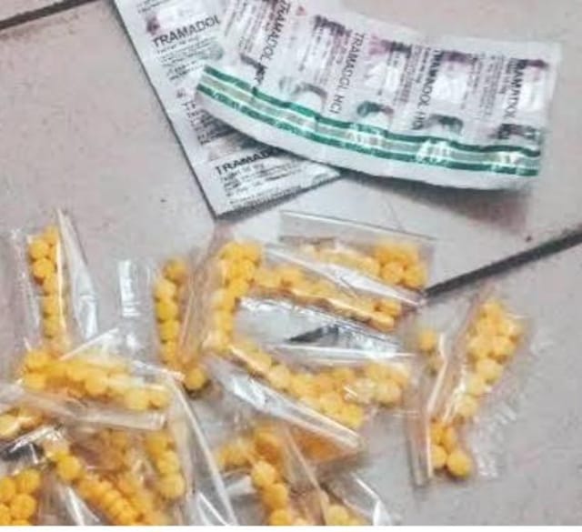 Berkedok konter Celullar Diduga Jual Obat Keras Golongan G, Tramadol, heximer, triex Tanpa Resep Dokter.