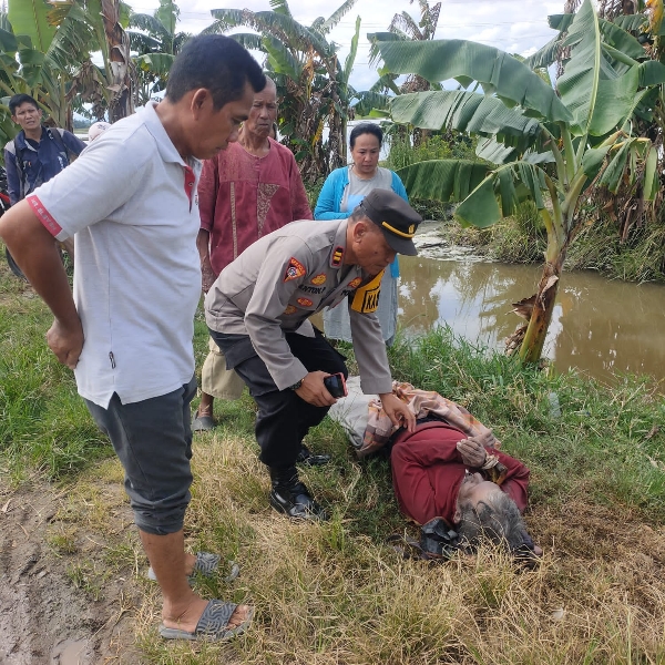 Aksi Cepat Kapolsek Maritengngae Evakuasi Mayat di Area Persawahan