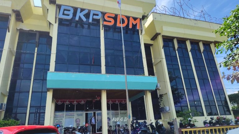 Peserta Lolos CPNS dan PPPK 2024 Dalam Proses Pengusulan NIP, ini Penjelasan Kabid PA BKPSDM Kotabaru