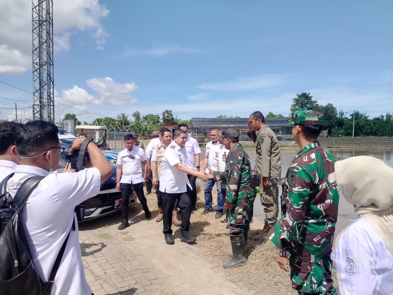 Satlinmas Kelurahan Barombong Dan WaliKota Makassar Ikut Gerakan tanam padi Serentak Bersama Presiden di 14 Provinsi.