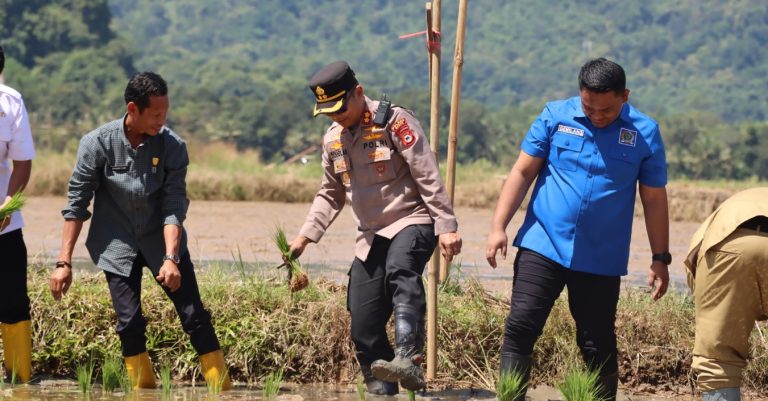 Dukung Program Swasembada Pangan RI, Kapolres Maros Hadiri Kegiatan Penanaman Padi Serentak.