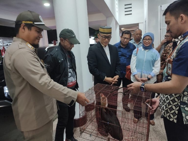 Di duga adanya penyelewengan jabatan serta aturan yg di langgar oleh Balai karantina provinsi sulsel