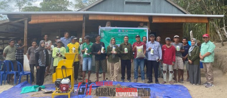 Tim PKM UMMA Gelar Pelatihan Implementasi Teknologi PROLIGA Dan Pengendalian Penyakit Tanaman Cabai Bagi KT Sejati.