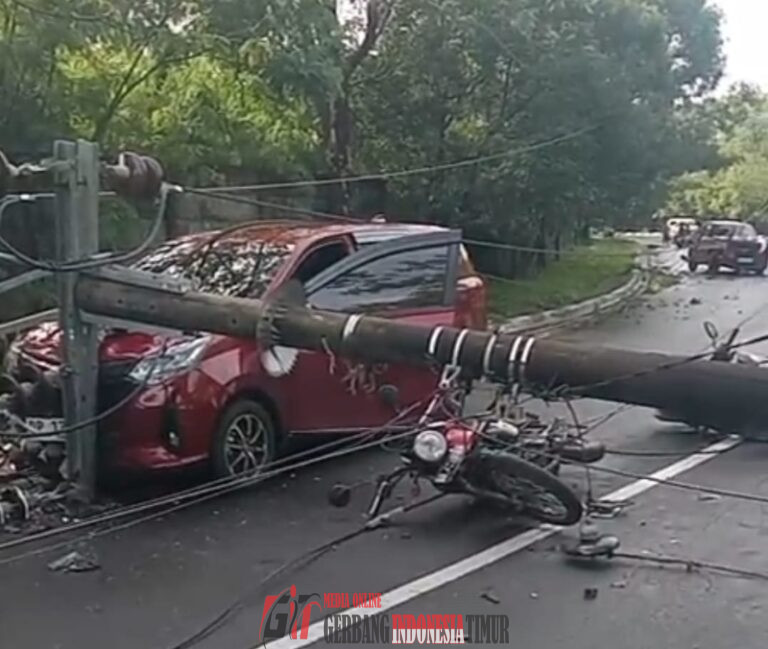 Pohon Tumbang Akibatkan Tiang Listrik Roboh di Jl. Metro Tanjung Bunga, Makassar