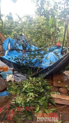 Sebuah Rumah Tertimpah Pohon Yang Roboh Di Dusun Lokayya Tompobulu Kabupaten Maros.