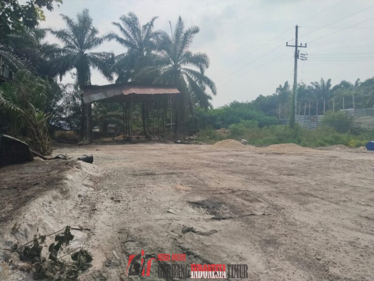 Tuduhan Pengalihan Kernel di Tapung Isapan Jempol, Pemilik Gudang Sebut Narasi “Video Usang” Sengaja Digoreng