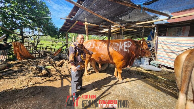 Dinas Pertanian Kabupaten Pangkep Pastikan Hewan Kurban Sehat