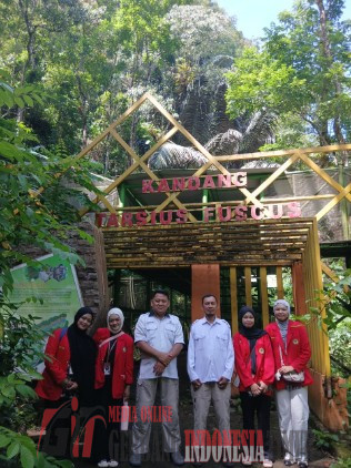 Pertama Kali Melihat Langsung Tarsius Makassar, Mahasiswa Magang UNHAS Takjub Dan Ingin Lebih Banyak Orang Mengenalnya.