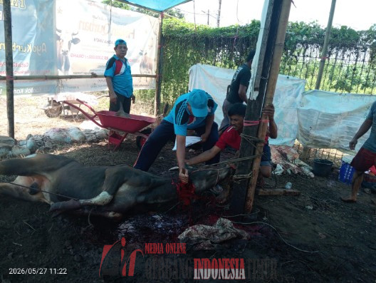 Kelompok Tugu Bersatu Dusun Bugis Desa Tenrigangkae Sembelih 12 Ekor Hewan Kurban, Warga Bersatu Rayakan Idul Adha 1447 H.