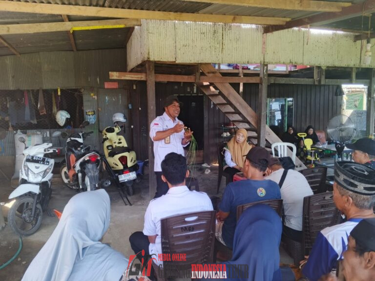 Dinas Pertanian Sulsel Gelar Bimtek Pengendalian Hama di Desa Kassiloe, Tingkatkan Pengetahuan Petani Menuju Panen Berkualitas