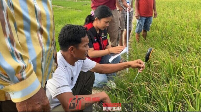 Tingkatkan Pengetahuan Petani, Mahasiswa Laksanakan Sosialisasi dan Pemeriksaan pH Tanah menggunakan PH meter tancap 4 in 1 di Desa Bonto Cinde