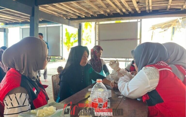 Mahasiswa KKN Kesehatan Unhas Gelar Cek Kesehatan Gratis di Pulau Pannikiang