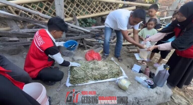 Mahasiswa KKN Unhas Berdayakan Peternak Melalui Pelatihan Silase