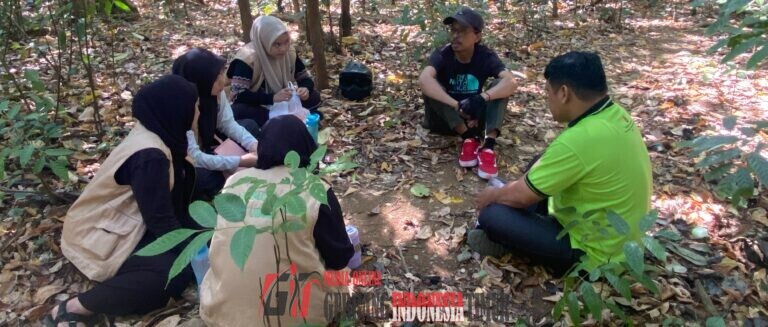 Bersama Tim Kerja Sanctuary Tarsius dan Macaca, Mahasiswa UINAM Belajar Memantau Monyet Dare’ di Hutan Karaenta.